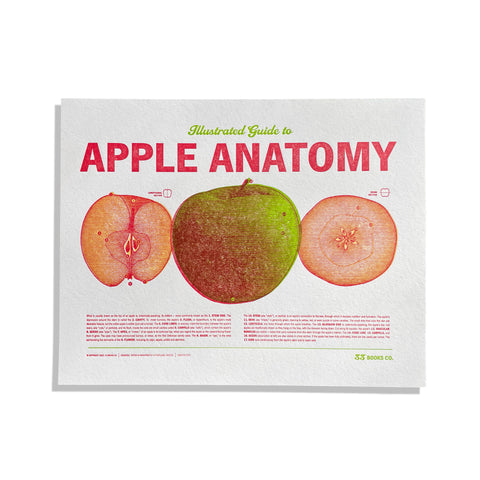 Illustrated Guide to Apple Anatomy Letterpress Print